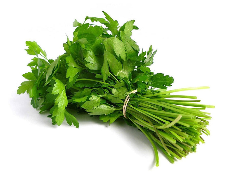 Fresh Coriander (1 Stuck) - Only Berlin Delivery